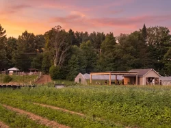 The farm and its pergola at dusk above the crops, Les Jardins Bolton in Bolton-Est