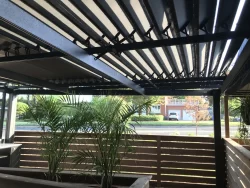 Lames noires ouvertes vues de dessous, entre les palmiers, Le Robusto à Granby