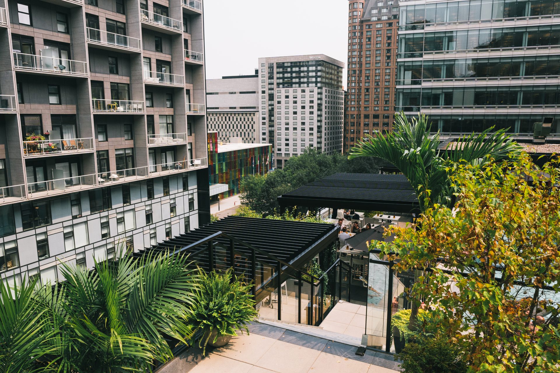 Terrasse de toit végétalisée face aux tours du centre-ville, Terrasse Alizé de l'hôtel Humaniti à Montréal